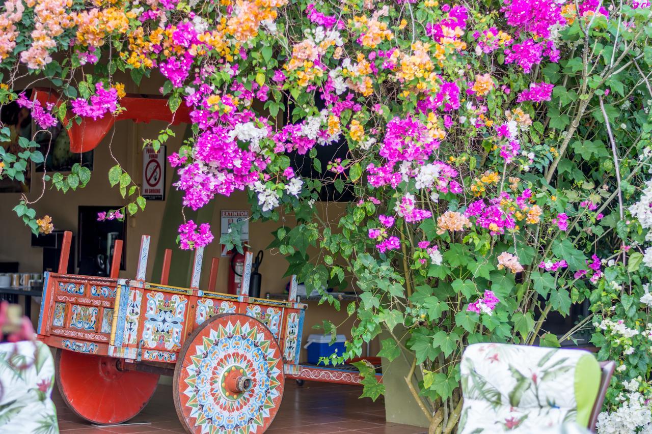 Kayak Lodge Damas Ngoại thất bức ảnh