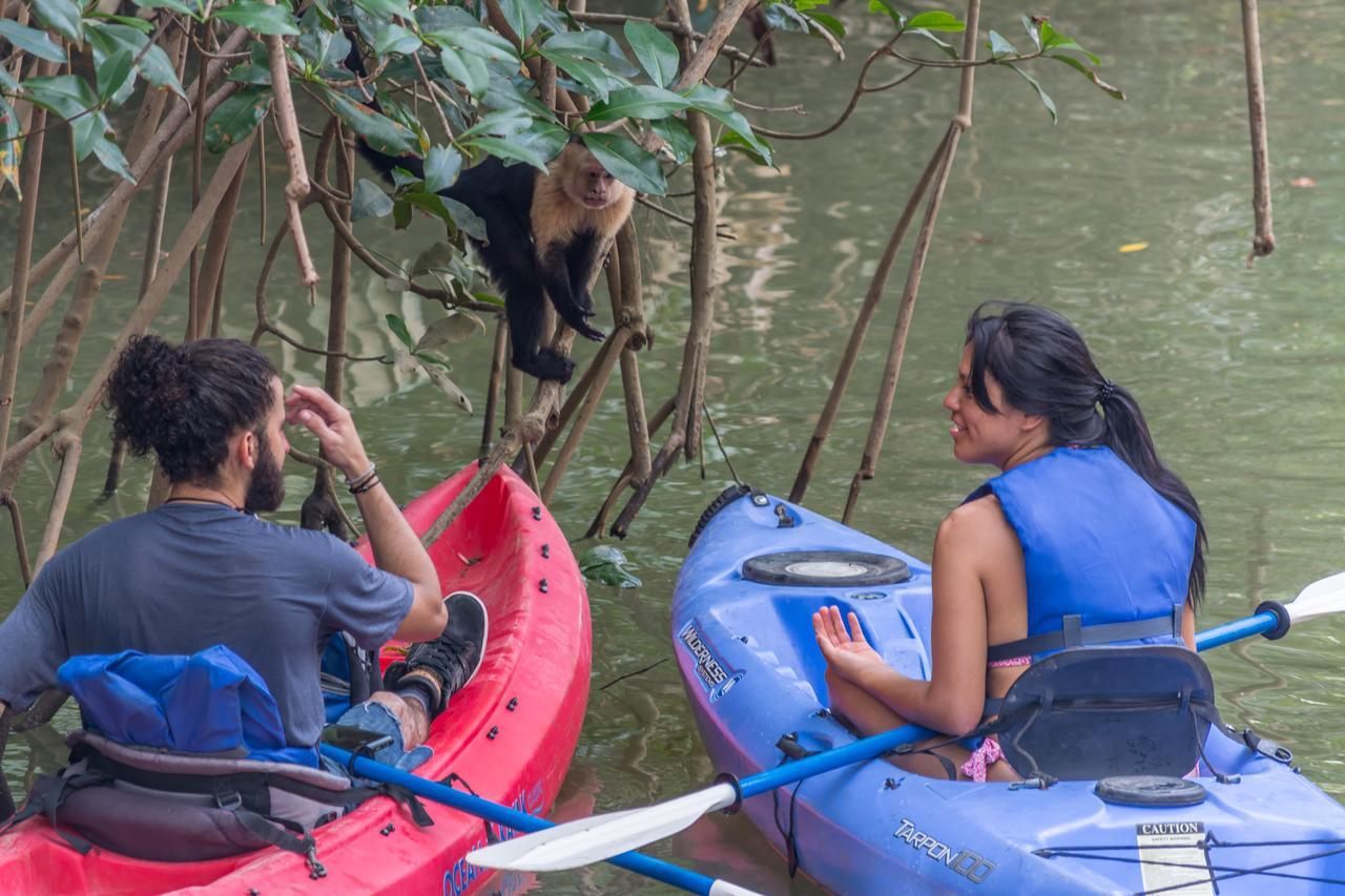 Kayak Lodge Damas Ngoại thất bức ảnh