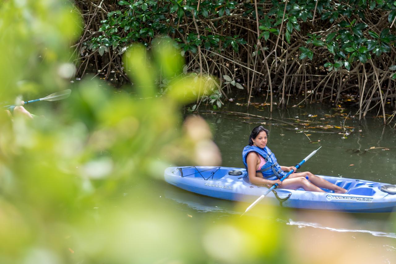 Kayak Lodge Damas Ngoại thất bức ảnh