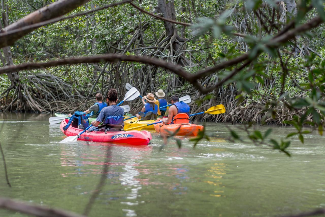 Kayak Lodge Damas Ngoại thất bức ảnh